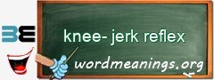 WordMeaning blackboard for knee-jerk reflex